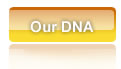 Our DNA